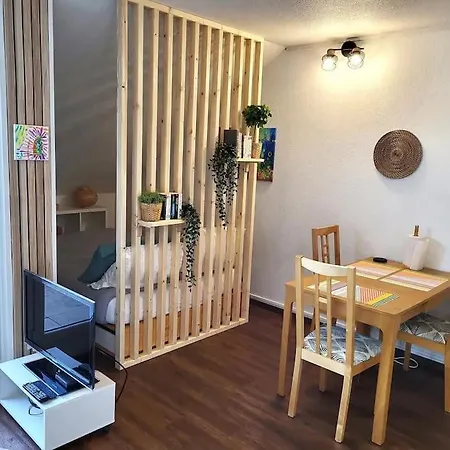 Beautiful At Geneva Airport Apartment Ferney-Voltaire