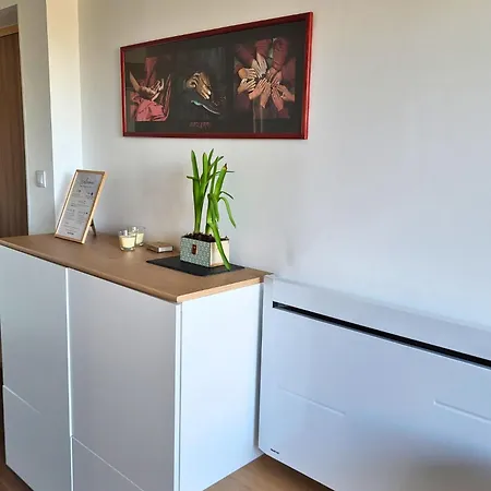 2 Soundproof Fully Equipped Near Geneva Airport Appartamento Ferney-Voltaire