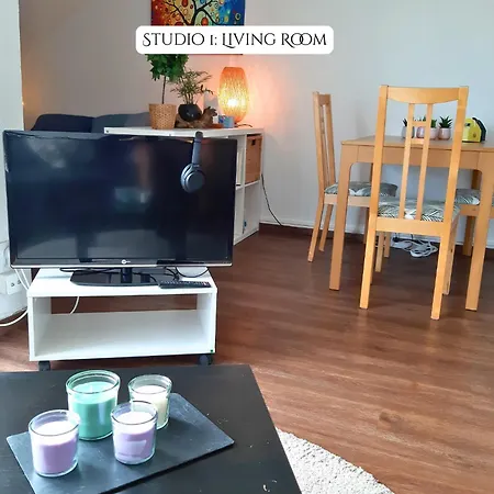 2 Soundproof Fully Equipped Near Geneva Airport Appartamento *