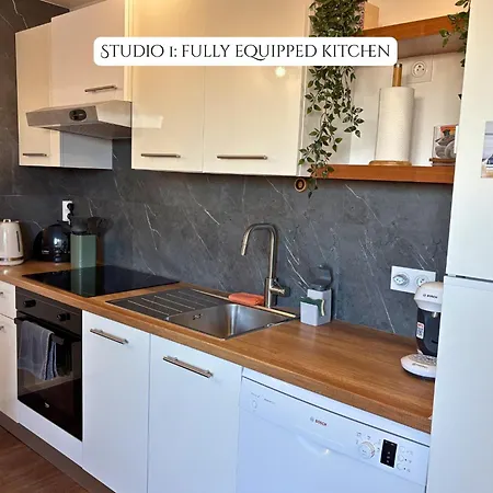 2 Soundproof Fully Equipped Near Geneva Airport Appartamento Ferney-Voltaire